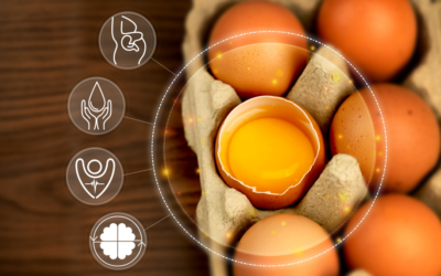 Protein Improves Brain Health