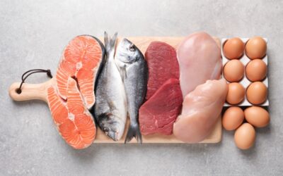 Protein: Essential to brain health and repair