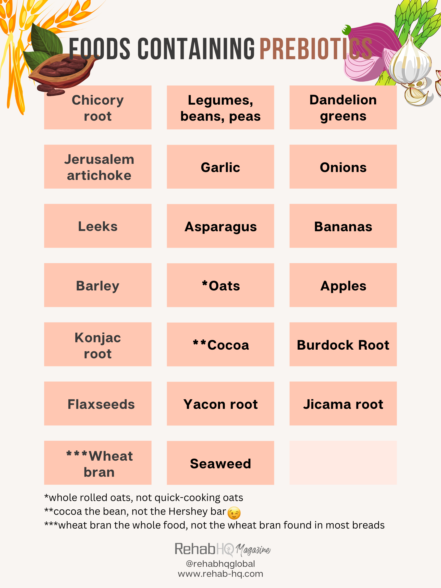 List of prebiotic foods