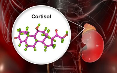 Exploring the Connection Between Cortisol, Stress, and Overall Health