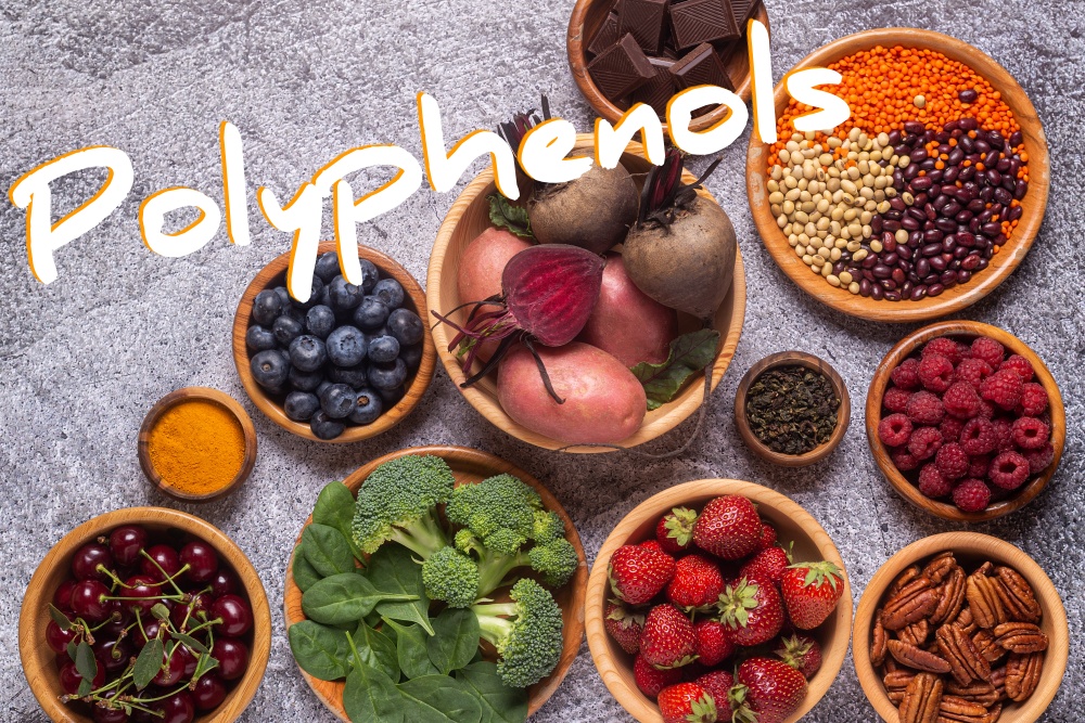 image of foods rich in polyphenols