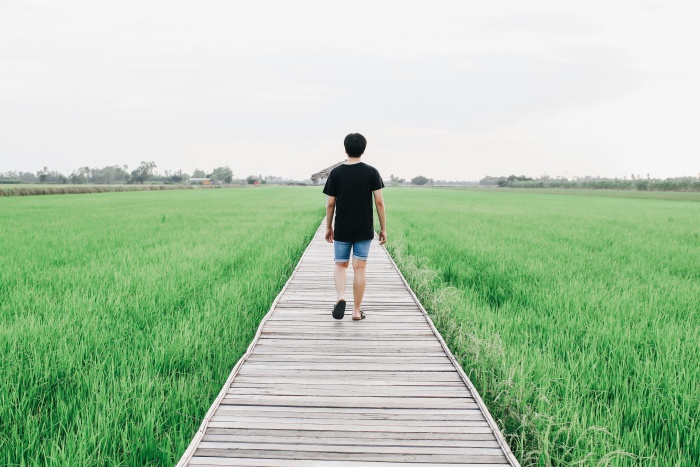 person walking on a bridge in a green pasture